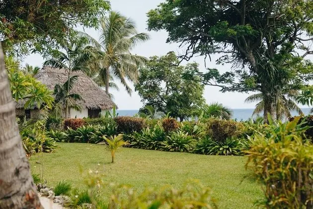 Bungalov, Okyanus Manzaralı (Ocean View Bure (Triple))