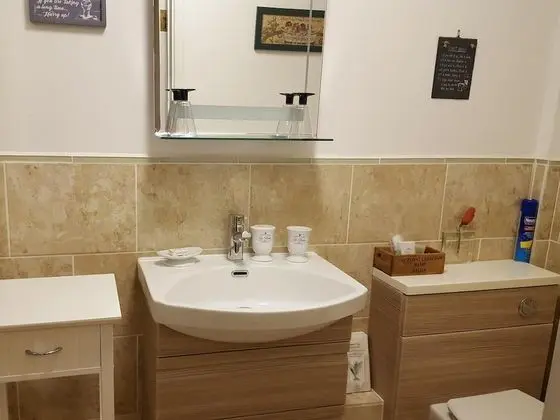 Comfort Tek Büyük Yataklı Oda, Banyolu/Duşlu, Bahçe Manzaralı (Ground floor Double)