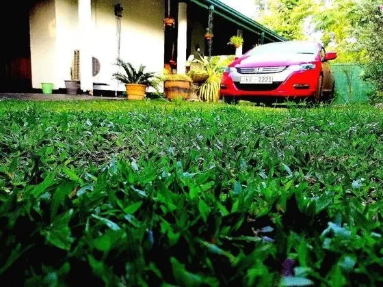 Deluxe İki Ayrı Yataklı Oda, Tepe Manzaralı, Bahçeli