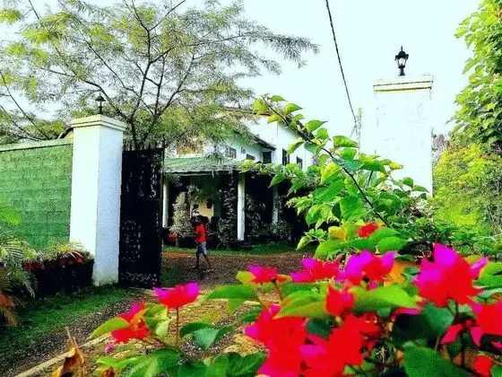 Deluxe İki Ayrı Yataklı Oda, Tepe Manzaralı, Bahçeli