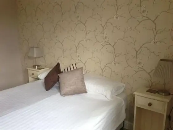 Standard Tek Büyük Yataklı Oda, Banyolu/Duşlu (Dog Friendly)