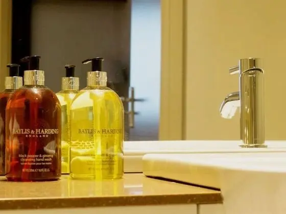 Superior Tek Büyük Yataklı Oda, Banyolu/Duşlu