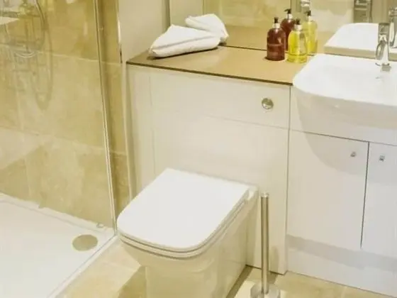 Tek Büyük Yataklı Oda, Banyolu/Duşlu