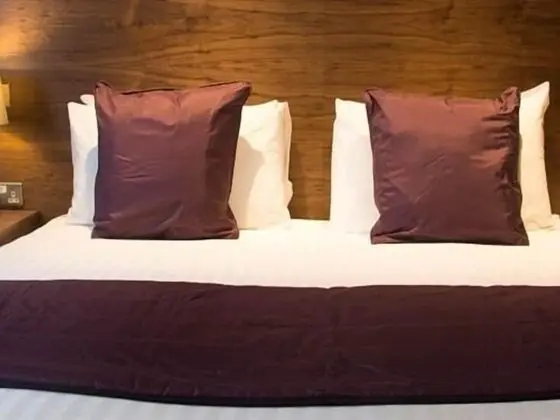 Tek Büyük Yataklı Oda, Banyolu/Duşlu (Disabled Friendly)