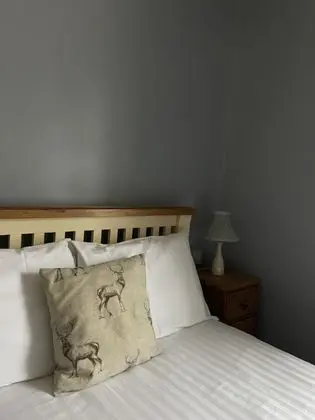 Süit, Banyolu/Duşlu (Family Room sleeps 4)