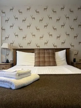 Tek Büyük Yataklı Oda, Banyolu/Duşlu