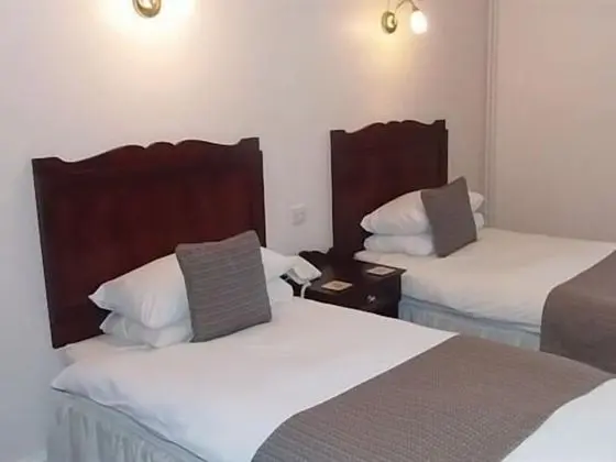Superior İki Ayrı Yataklı Oda, Banyolu/Duşlu (Accessible room)
