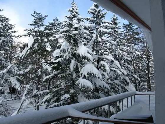 Dört Kişilik Oda