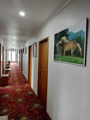 Basic Tek Büyük Yataklı Oda, 1 Çift Kişilik Yatak, Sigara İçilmez, Ortak Banyo