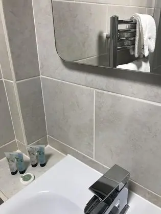 Tek Büyük Yataklı Oda, Banyolu/Duşlu (lily)