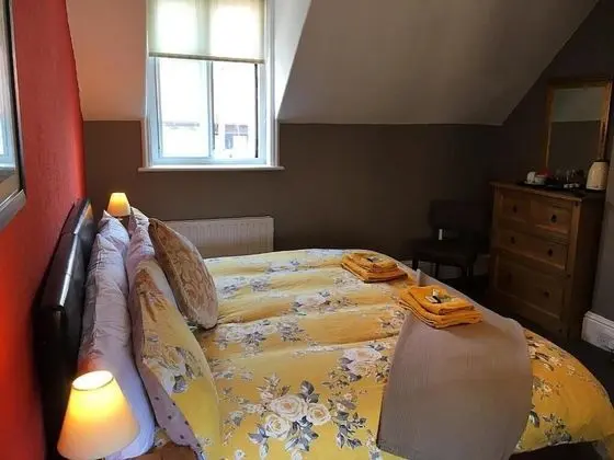 Deluxe Tek Büyük veya İki Ayrı Yataklı Oda, Banyolu/Duşlu, Şehir Manzaralı (deluxe double or twin)