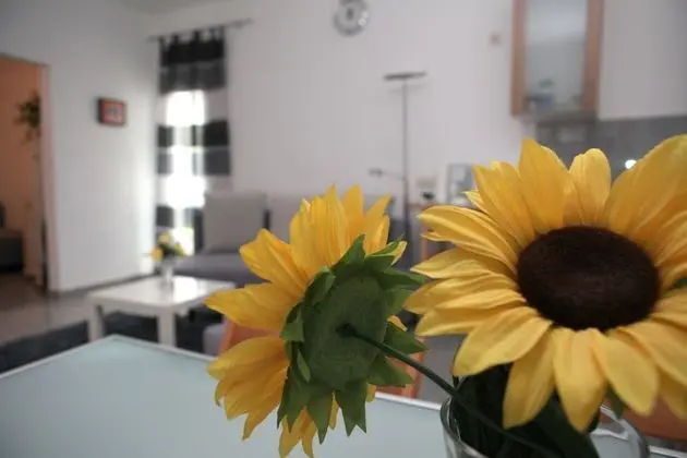Stüdyo, Şehir Manzaralı (Dibergstraße 50)