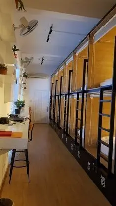 Basic Ortak Ranzalı Oda, Sadece kadınlar için (Bed in 10-Bed)