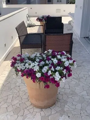 Süit, Balkon, Havuz Manzaralı