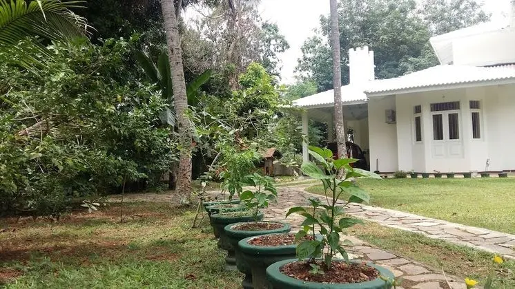 Green Room with Air-Con