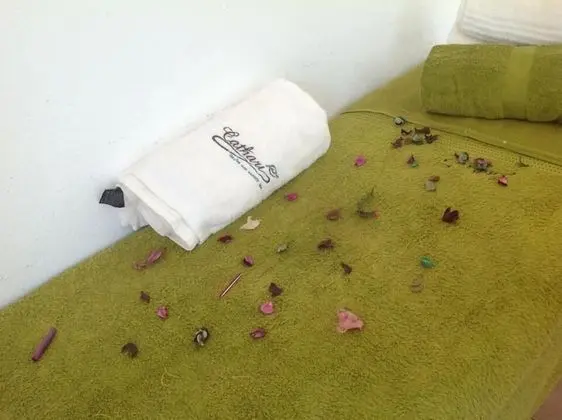 Süit