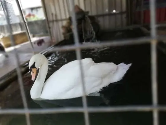 Deluxe Tek Büyük veya İki Ayrı Yataklı Oda, Engellilere Uygun, Sigara İçilmez