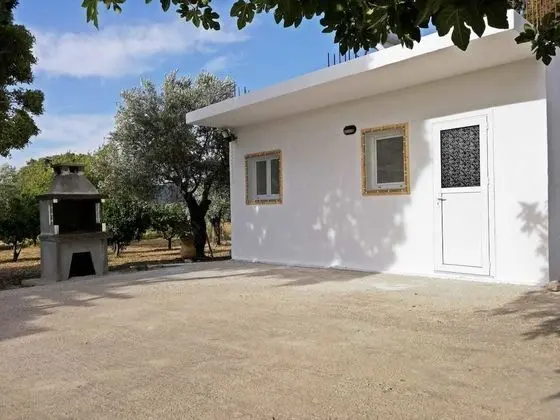 Stüdyo (White)