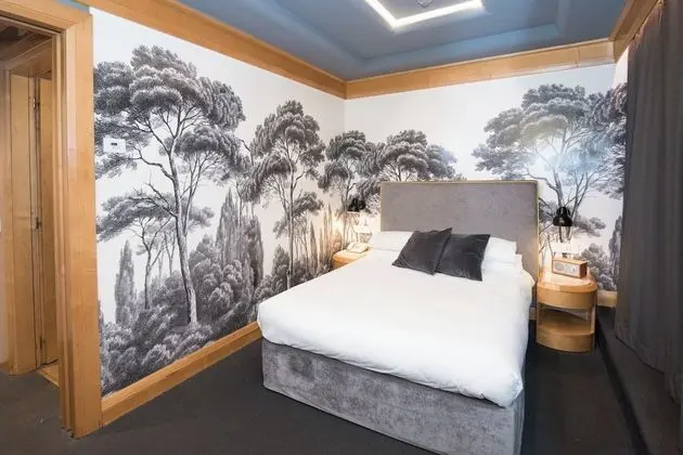 Standard Büyük Yataklı Tek Kişilik Oda