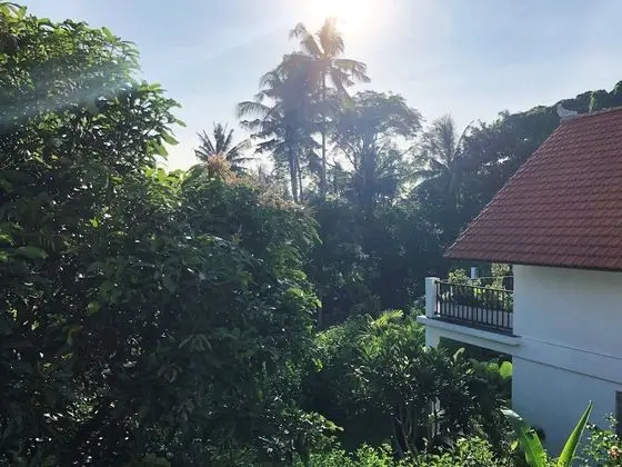 Villa, Teras