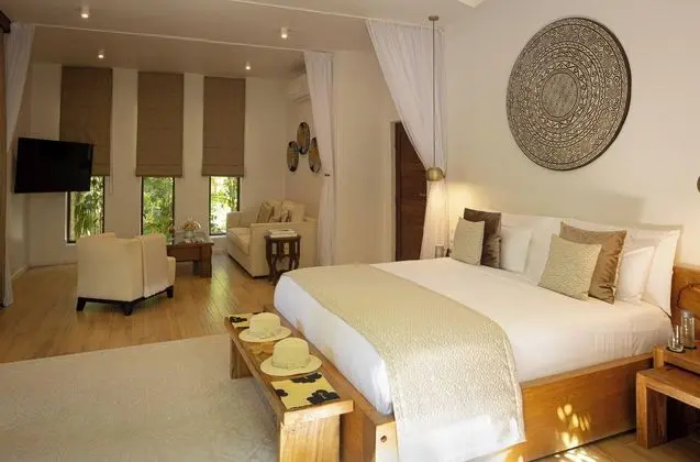 Junior Villa, 1 En Büyük (King) Boy Yatak ve Çekyat, Sigara İçilmez, Bahçe Manzaralı