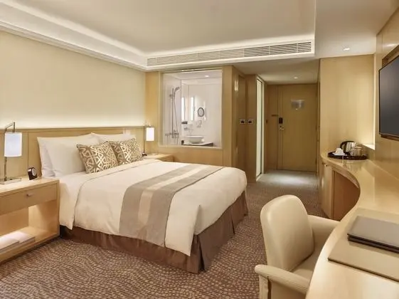 Standard Tek Büyük Yataklı Oda, 1 Büyük (Queen) Boy Yatak, Şehir Manzaralı