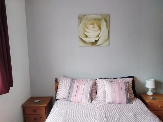 Tek Büyük Yataklı Oda, Banyolu/Duşlu, Zemin Kat (Room 11 & 12)