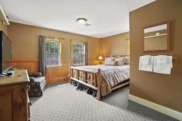Tek Büyük Yataklı Oda, Banyolu/Duşlu (Classic room)