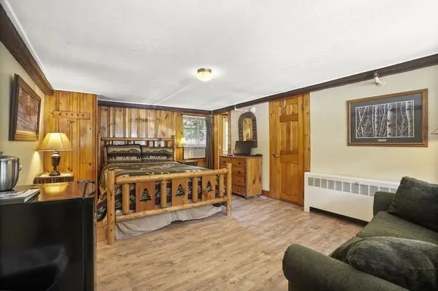 Tek Büyük Yataklı Oda, Banyolu/Duşlu (Classic room)