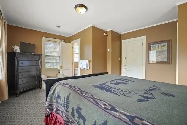 Tek Büyük Yataklı Oda, Banyolu/Duşlu (Classic room)