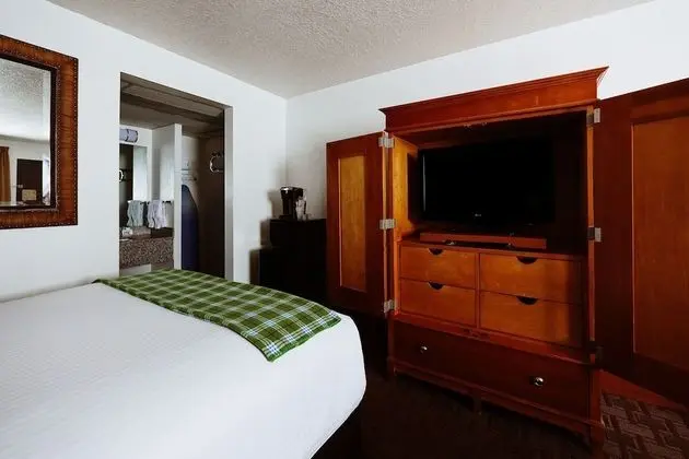 Standard Oda, 2 Büyük (Queen) Boy Yatak, Sigara İçilmez (Pet Friendly)