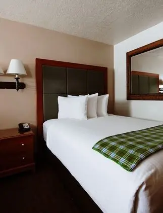 Standard Oda, 2 Büyük (Queen) Boy Yatak, Sigara İçilmez (Pet Friendly)