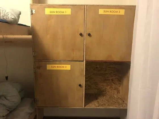 Deluxe Tek Kişilik Oda, 1 Yatak Odası