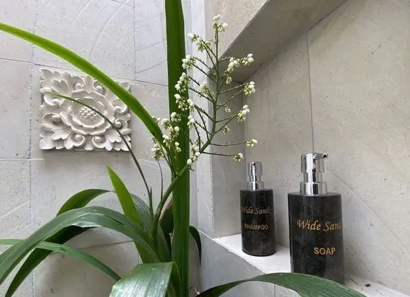 Premier Tek Büyük veya İki Ayrı Yataklı Oda