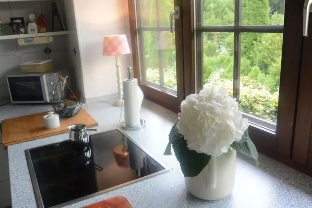 Comfort Apart Daire, Engellilere Uygun, Bahçe Manzaralı