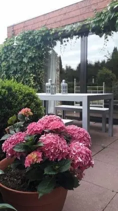 Comfort Apart Daire, Engellilere Uygun, Bahçe Manzaralı