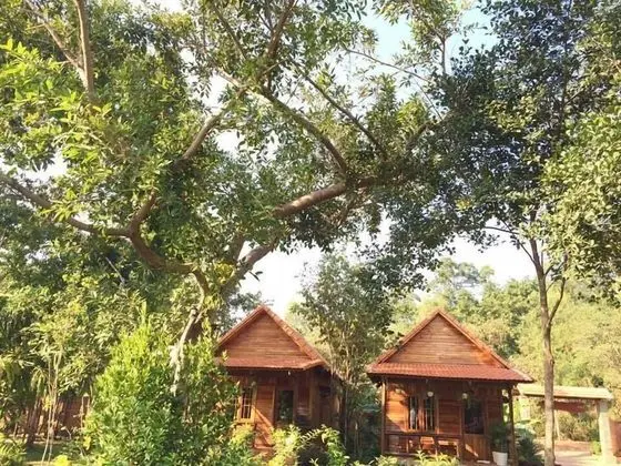 Deluxe Bungalov, Bahçe Manzaralı
