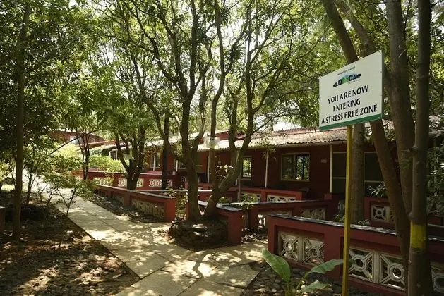 Deluxe Kır Evi (NON AC)