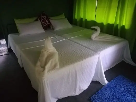 Basic Çadır