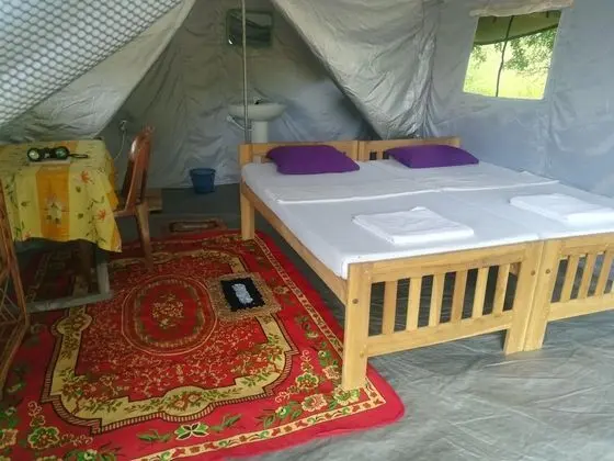 Basic Çadır