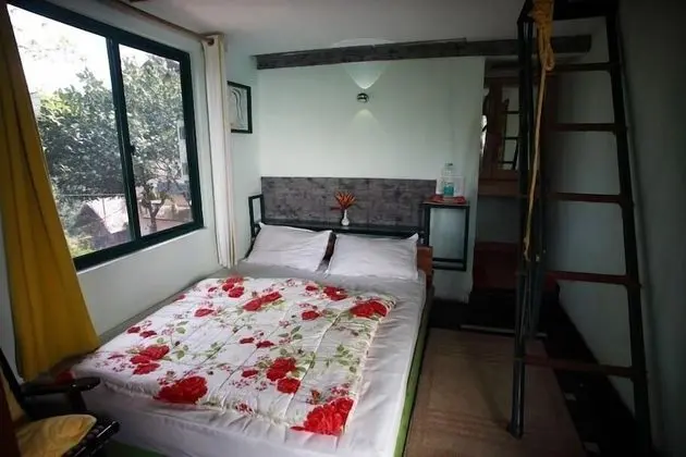 Tree Top Cottage