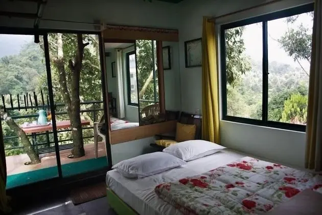 Tree Top Cottage