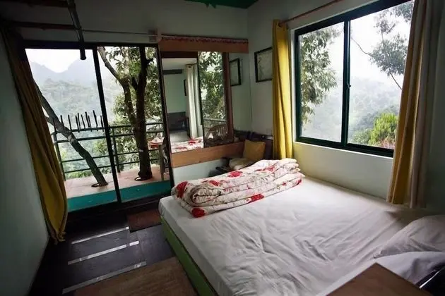 Tree Top Cottage