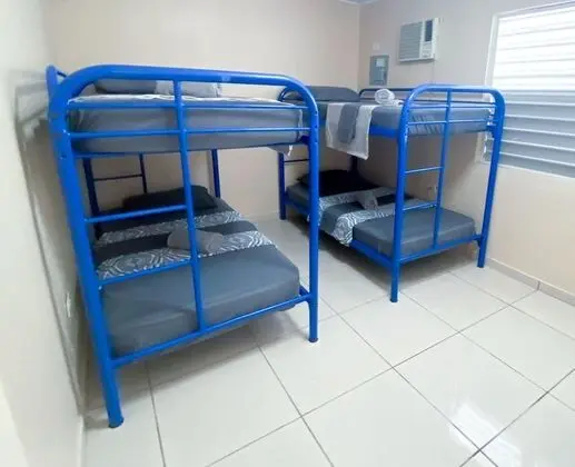 Starfish Apartment 12