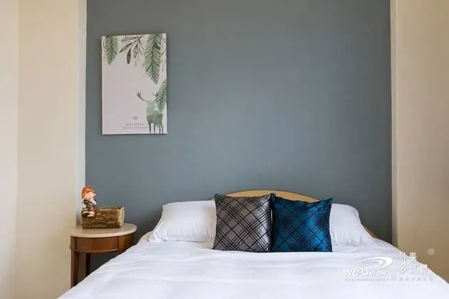 Standard Tek Büyük Yataklı Oda (301)