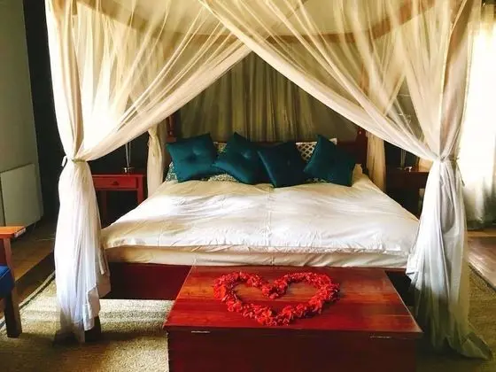 Exclusive Süit (Savannah)