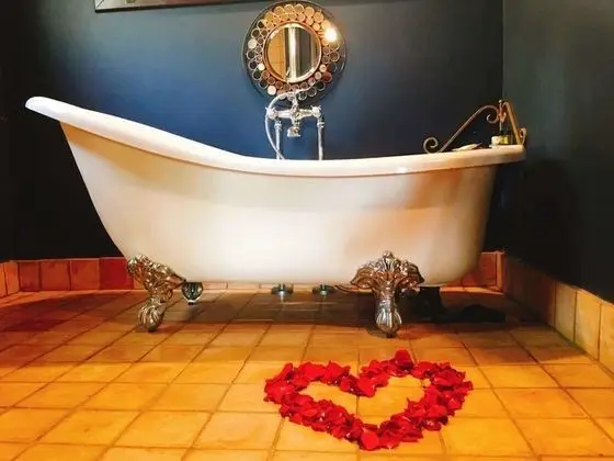 Exclusive Süit (Savannah)