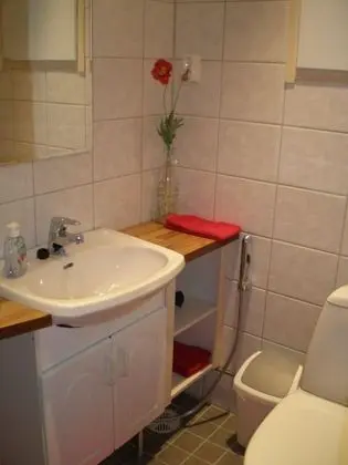 Dağ Evi, 4 Yatak Odası, Sauna (Suopursu)