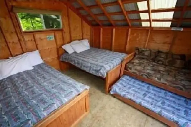 Standard Kulübe, Ortak Banyo (Cedar Cabins)