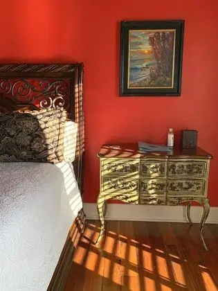 Tek Kişilik Oda (Tiger Lily)